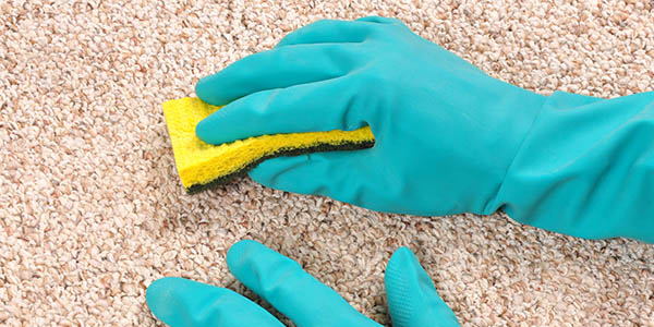 Stockwell Carpet Cleaners | Rug Cleaning SW8 Stockwell