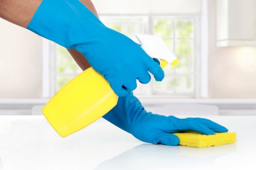 Local cleaning team treating pet smell in a Stockwell flat