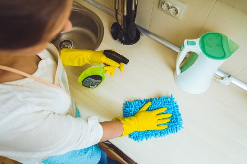 Deep cleaning oven racks and interior components in a Stockwell kitchen