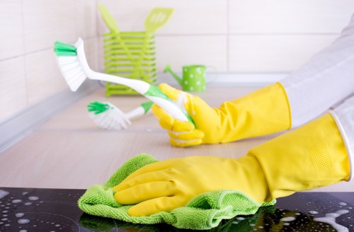 Local Stockwell cleaning services for modern apartments