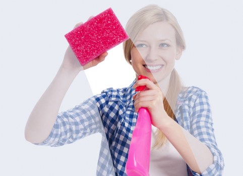 Regular domestic cleaning visit in a Stockwell flat with practical access